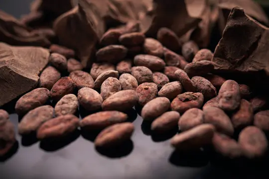 Les fèves de cacao