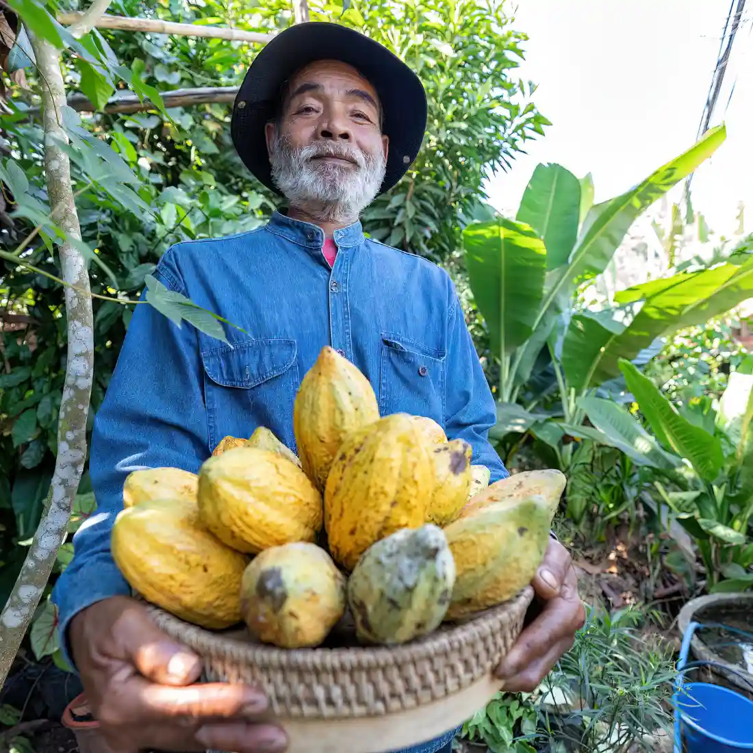 Kakaobauer mit Kakaoschoten