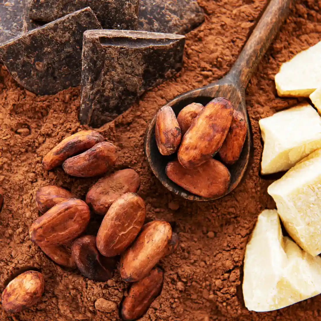 Kakaopulver mit Schokolade und Kakaobutter